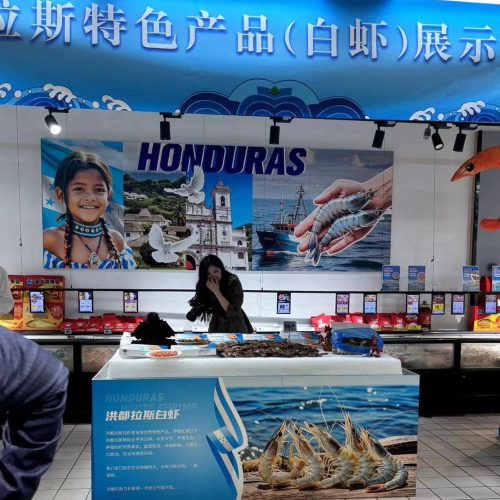 Honduras redirige su industria camaronera tras perder a Taiwán