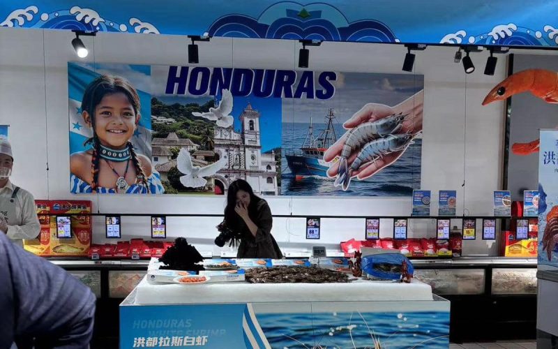 Honduras redirige su industria camaronera tras perder a Taiwán