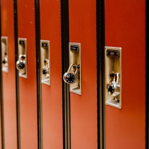 ¿Cómo afecta la corrupción a los servicios públicos?